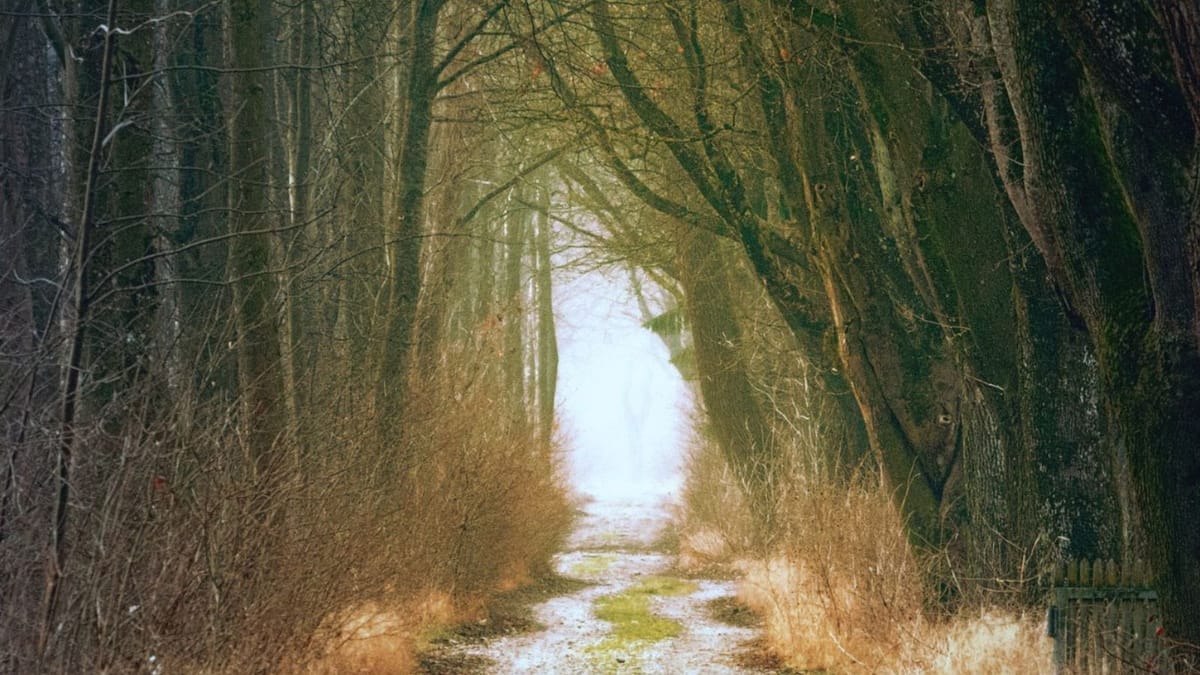 Most People Make Life-Changing Decisions With Less Information Than They Use to Buy a Television